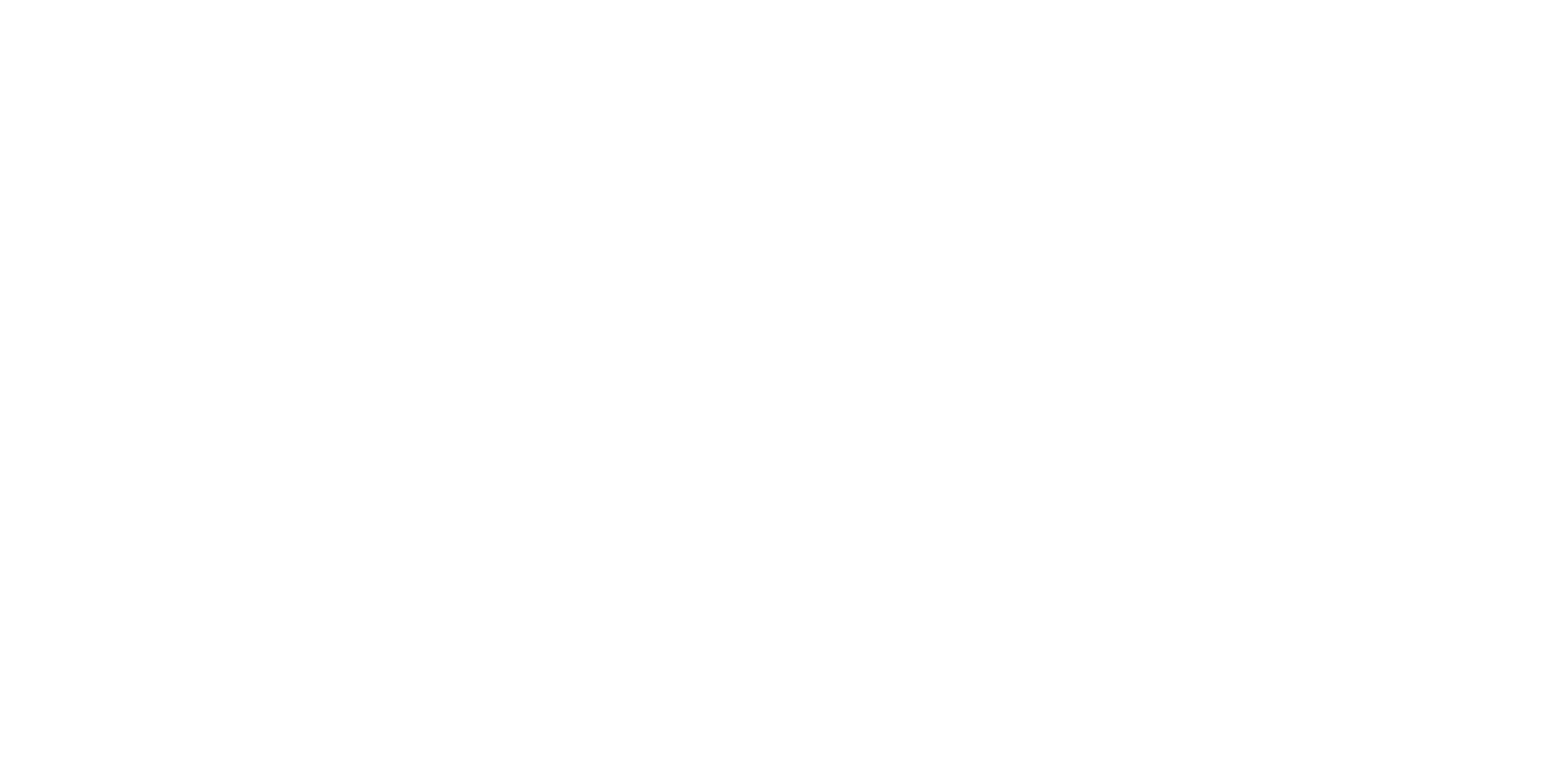Logo_blanc_2a2p